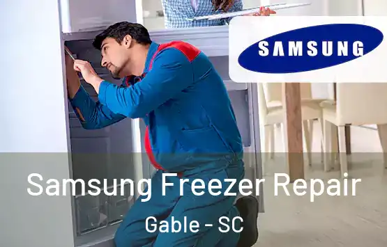 Samsung Freezer Repair Gable - SC