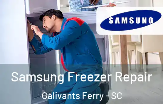  Samsung Freezer Repair Galivants Ferry - SC