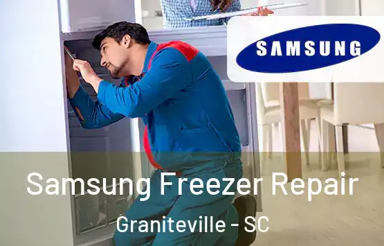  Samsung Freezer Repair Graniteville - SC