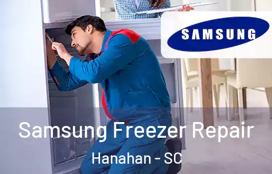  Samsung Freezer Repair Hanahan - SC