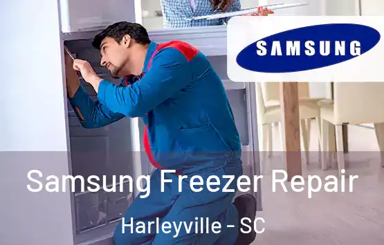  Samsung Freezer Repair Harleyville - SC