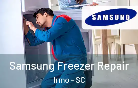  Samsung Freezer Repair Irmo - SC