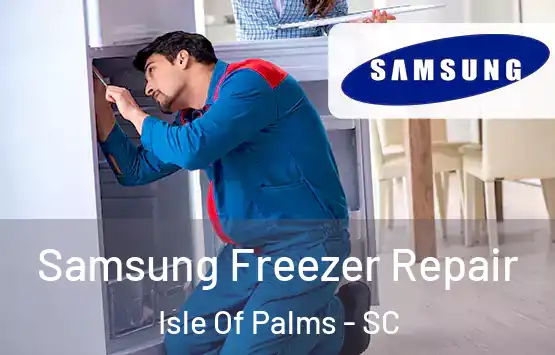  Samsung Freezer Repair Isle Of Palms - SC
