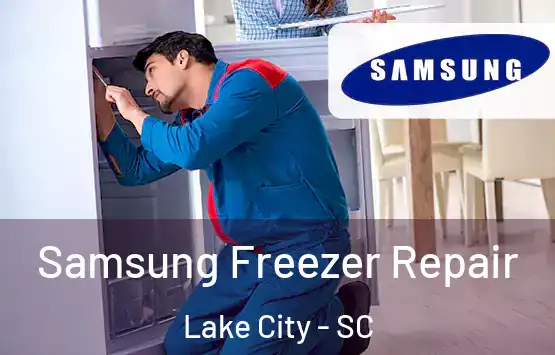  Samsung Freezer Repair Lake City - SC