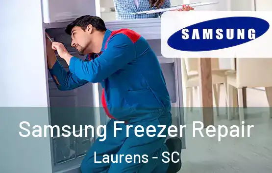  Samsung Freezer Repair Laurens - SC