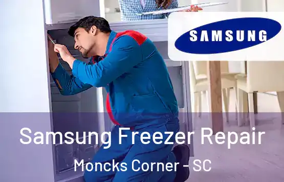  Samsung Freezer Repair Moncks Corner - SC