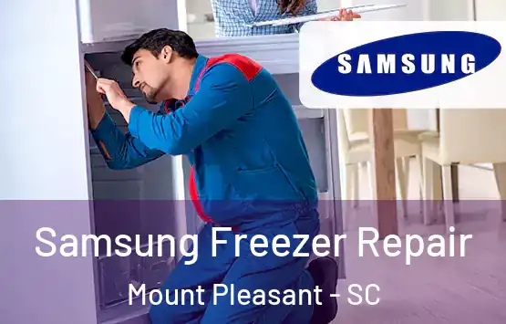  Samsung Freezer Repair Mount Pleasant - SC