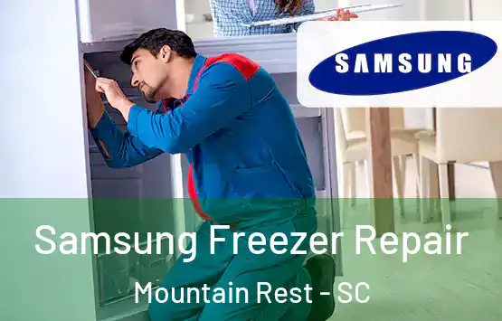  Samsung Freezer Repair Mountain Rest - SC