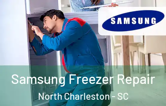  Samsung Freezer Repair North Charleston - SC