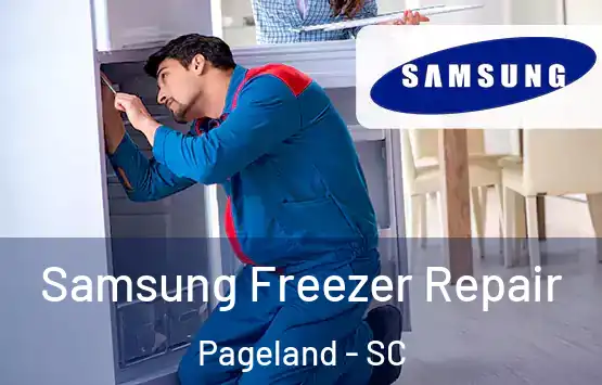  Samsung Freezer Repair Pageland - SC