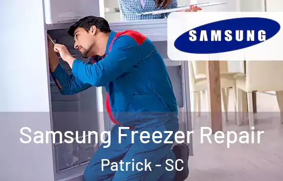  Samsung Freezer Repair Patrick - SC