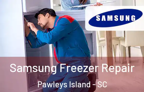  Samsung Freezer Repair Pawleys Island - SC