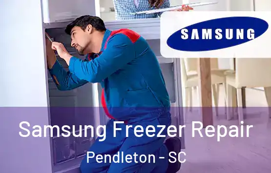  Samsung Freezer Repair Pendleton - SC