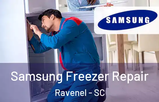  Samsung Freezer Repair Ravenel - SC