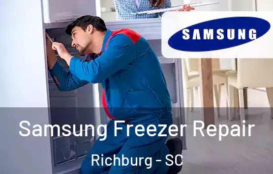  Samsung Freezer Repair Richburg - SC