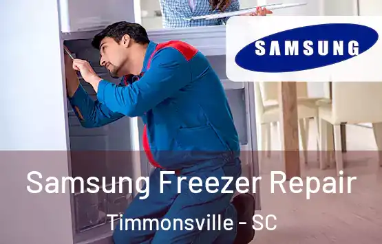  Samsung Freezer Repair Timmonsville - SC