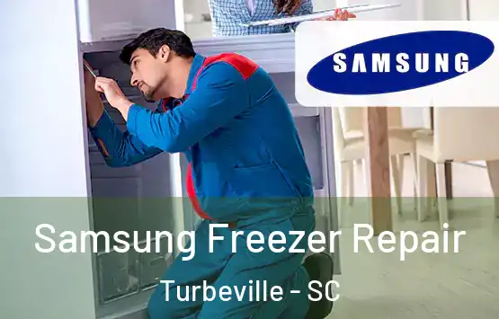  Samsung Freezer Repair Turbeville - SC