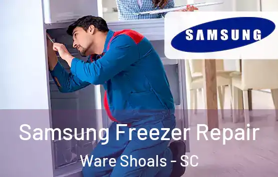  Samsung Freezer Repair Ware Shoals - SC