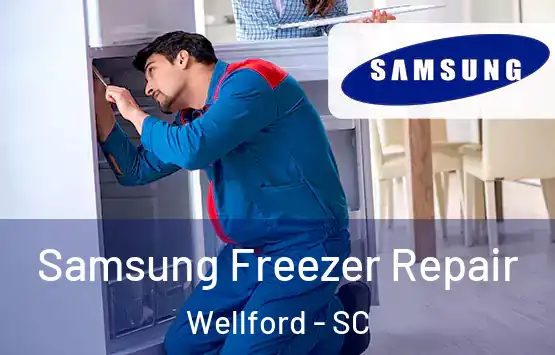  Samsung Freezer Repair Wellford - SC