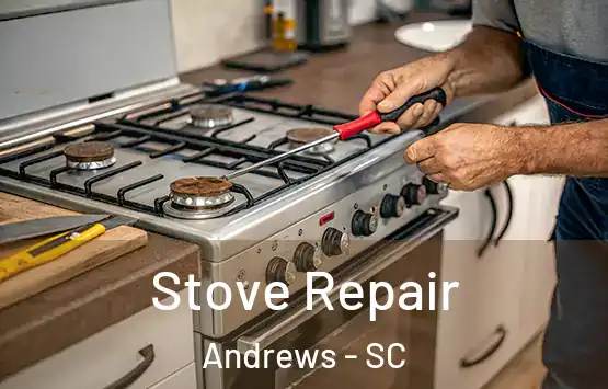  Stove Repair Andrews - SC