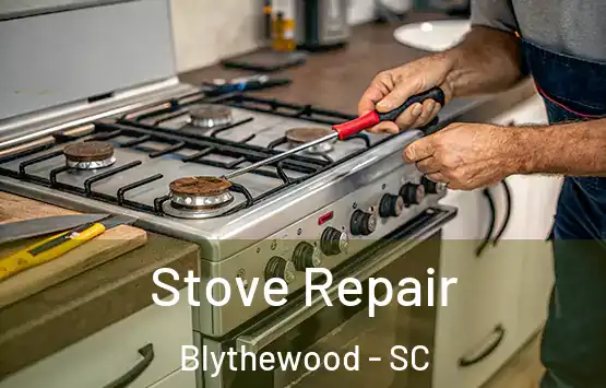  Stove Repair Blythewood - SC
