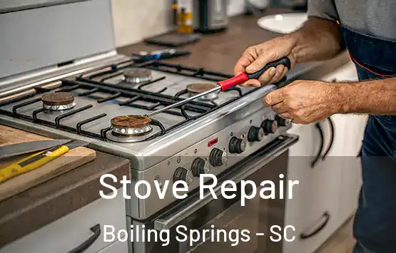  Stove Repair Boiling Springs - SC