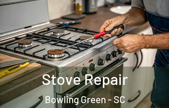  Stove Repair Bowling Green - SC