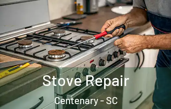  Stove Repair Centenary - SC