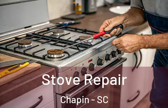  Stove Repair Chapin - SC