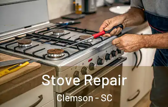  Stove Repair Clemson - SC