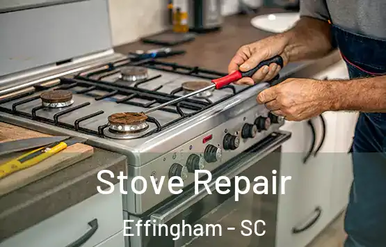  Stove Repair Effingham - SC