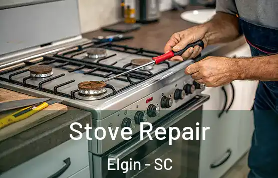  Stove Repair Elgin - SC