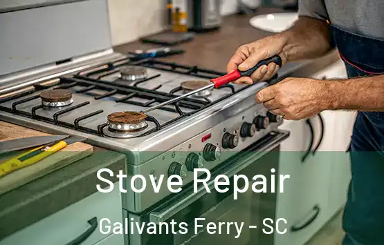  Stove Repair Galivants Ferry - SC