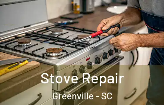 Stove Repair Greenville - SC