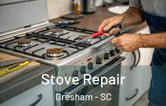  Stove Repair Gresham - SC