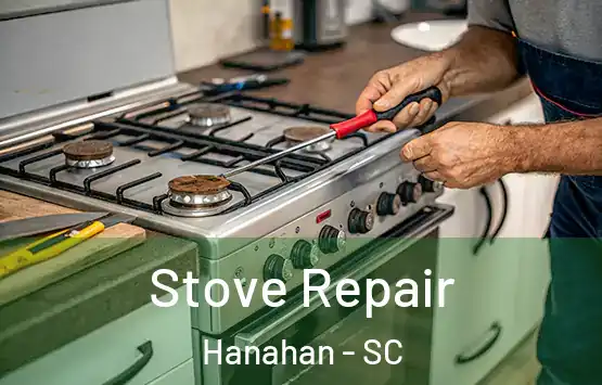  Stove Repair Hanahan - SC
