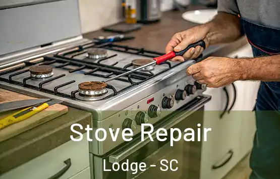  Stove Repair Lodge - SC
