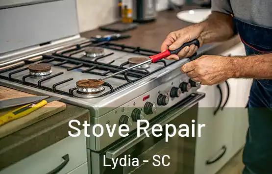 Stove Repair Lydia - SC