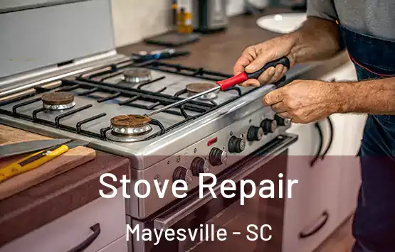  Stove Repair Mayesville - SC