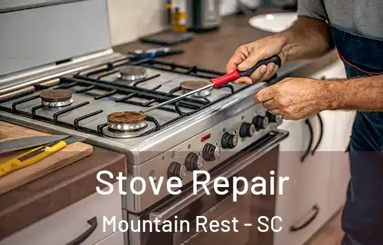  Stove Repair Mountain Rest - SC