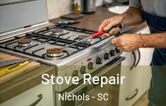  Stove Repair Nichols - SC