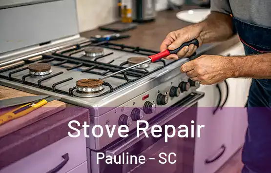 Stove Repair Pauline - SC