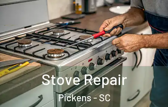  Stove Repair Pickens - SC