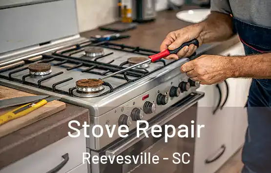  Stove Repair Reevesville - SC