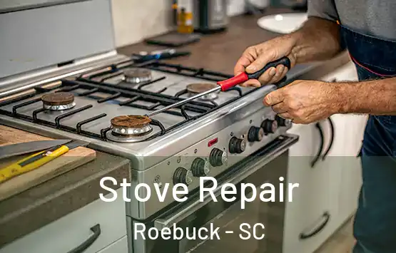  Stove Repair Roebuck - SC