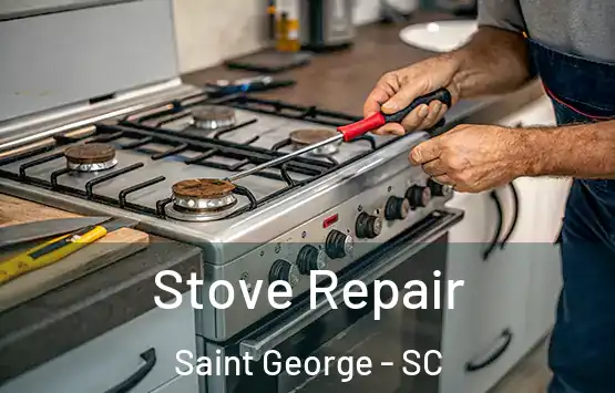  Stove Repair Saint George - SC