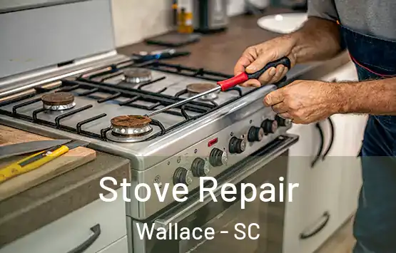  Stove Repair Wallace - SC
