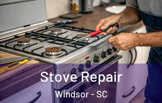  Stove Repair Windsor - SC