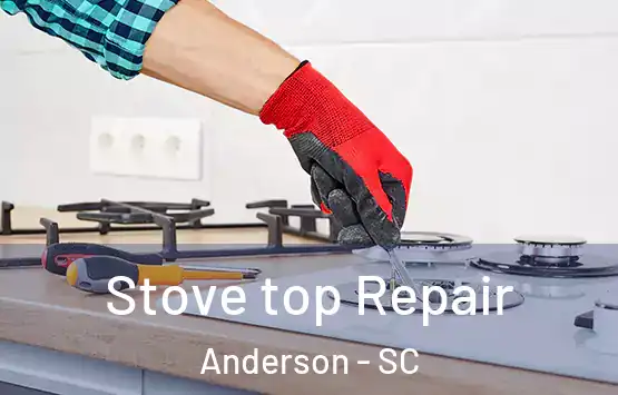  Stove top Repair Anderson - SC