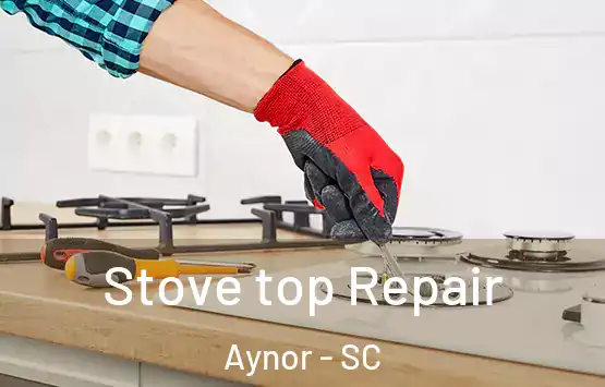  Stove top Repair Aynor - SC
